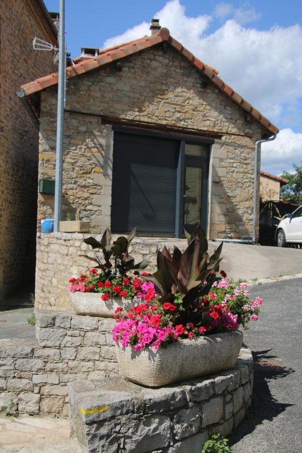 Fontaine Vieille Hotel Saint-Georges-de-Luzençon Buitenkant foto